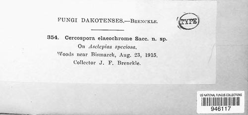 Passalora elaeochroma image